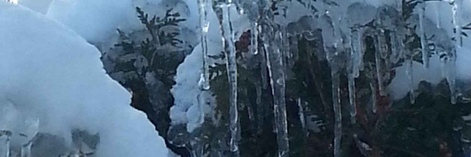 Tigetkan03's profile banner image