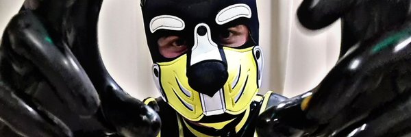 AntauryPup Profile Banner