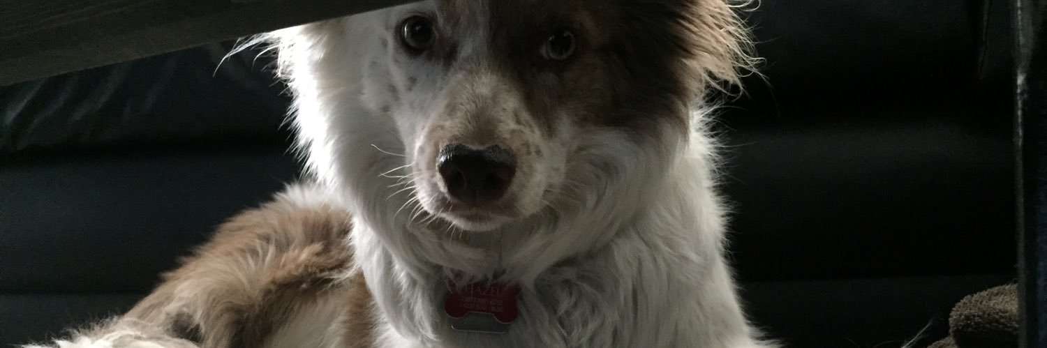 kaylaMENDES's profile banner image