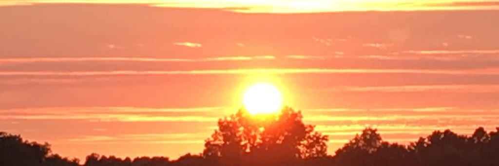 JonDHardy's profile banner image