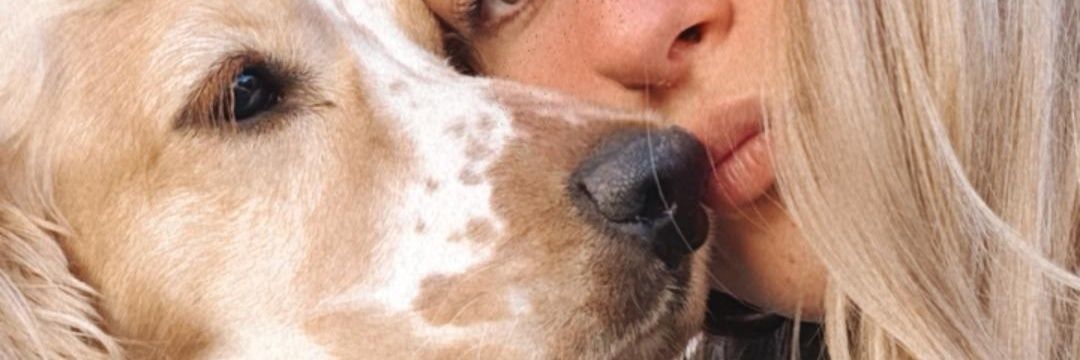 canderomano2's profile banner image