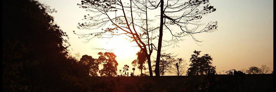 ranitadesignz's profile banner image