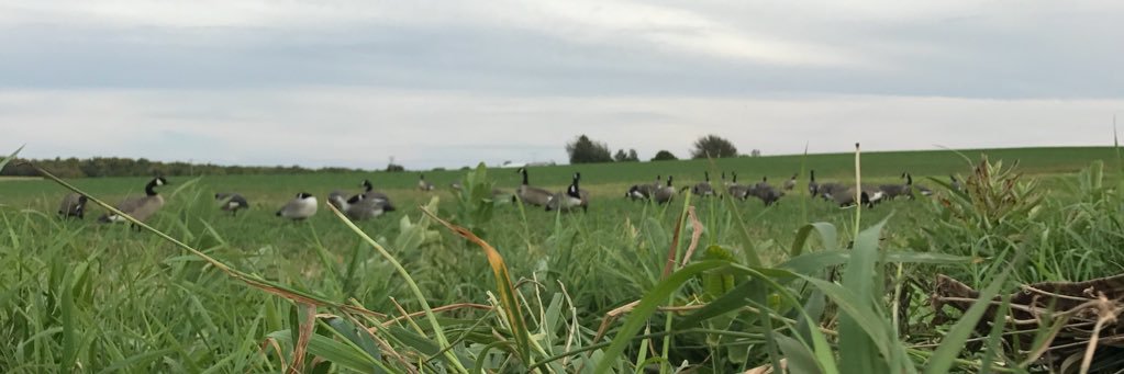 SydneePieper's profile banner image