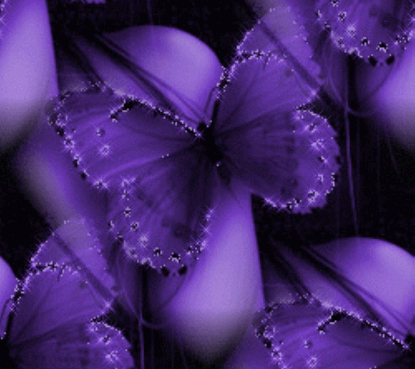 LeesMtWoman's profile banner image