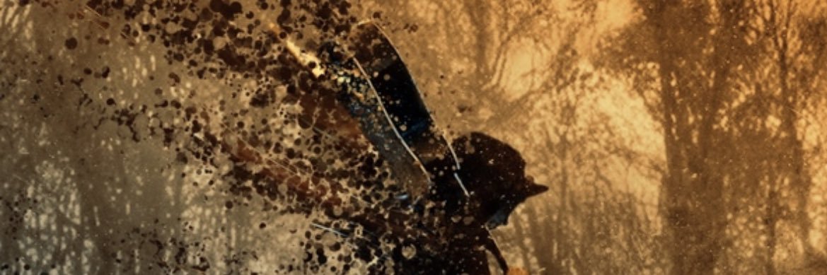 scott stevens banner