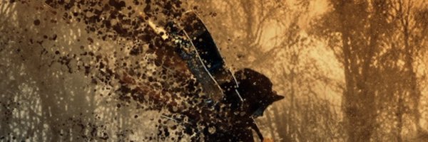ScottExies Profile Banner