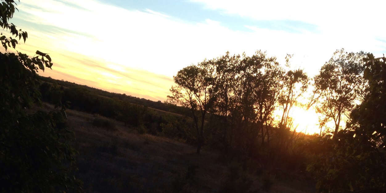 Coach Schmidt banner