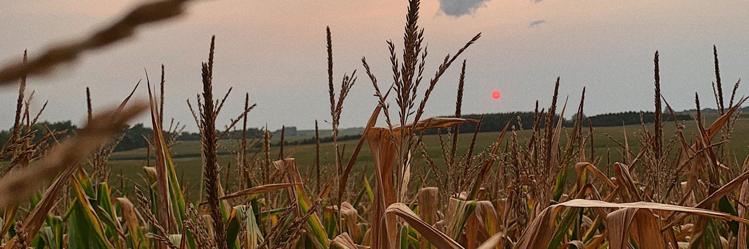 nicoleintermill's profile banner image
