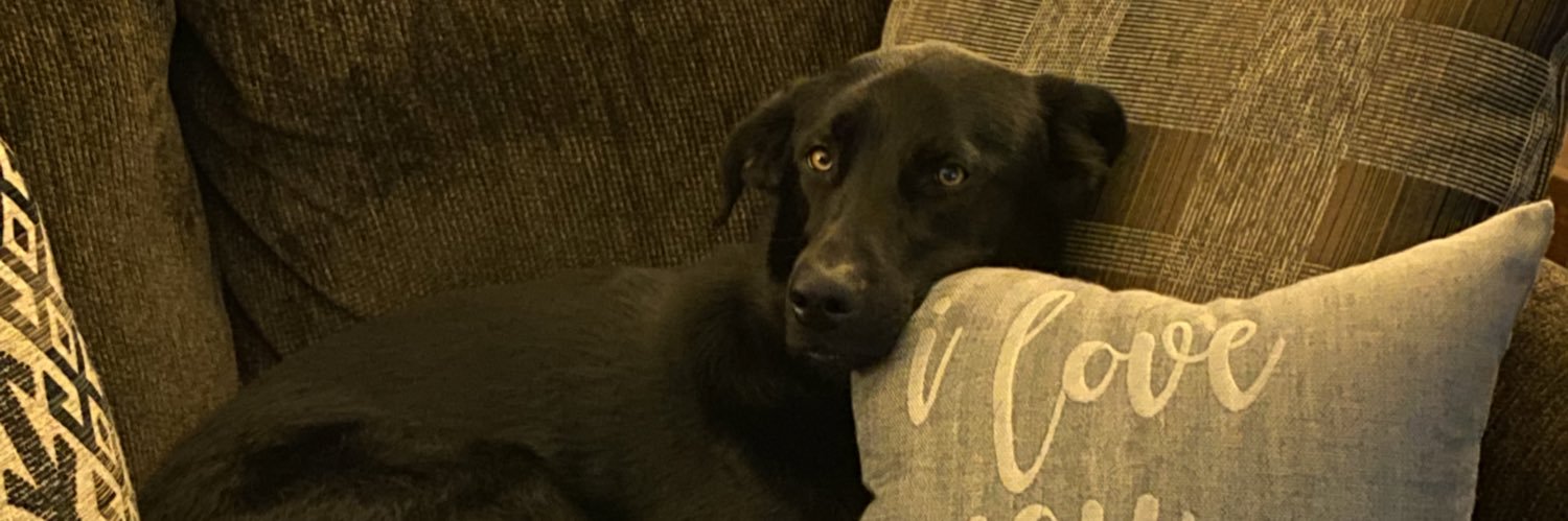 SpencerKohnen's profile banner image