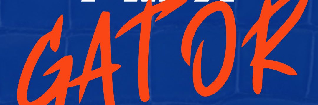 GondorGator's profile banner image