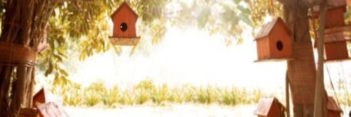 Deviy04 banner