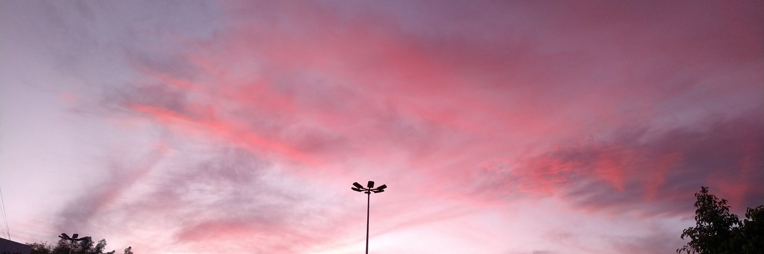 _El_Rorro's profile banner image