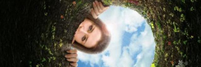 Bbbarbaraaaaa's profile banner image