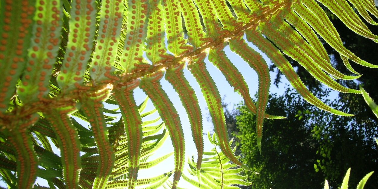 heleenberg's profile banner image