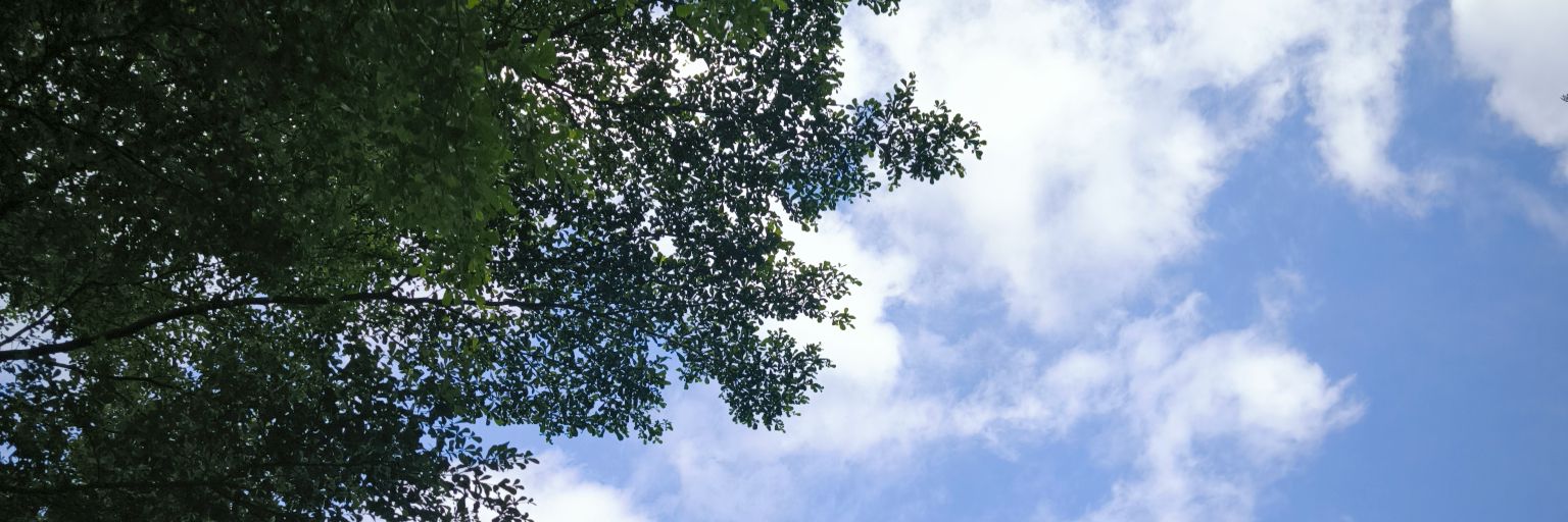 cloud_igha's profile banner image