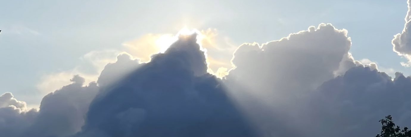 GwenDavidson's profile banner image