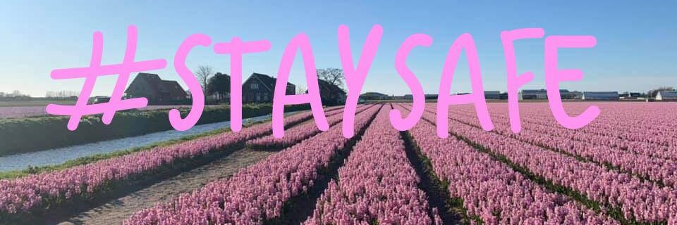 VanVliet Northampton Sam banner