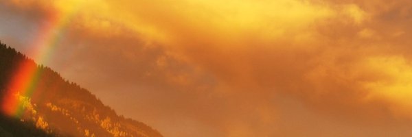 Soschnell Profile Banner