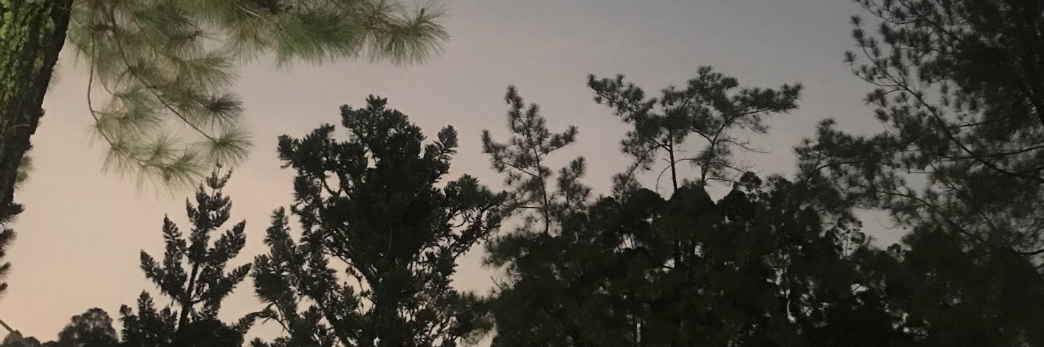 nrmatov3's profile banner image
