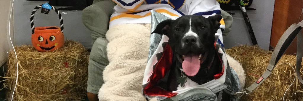 kitkatkatee33's profile banner image