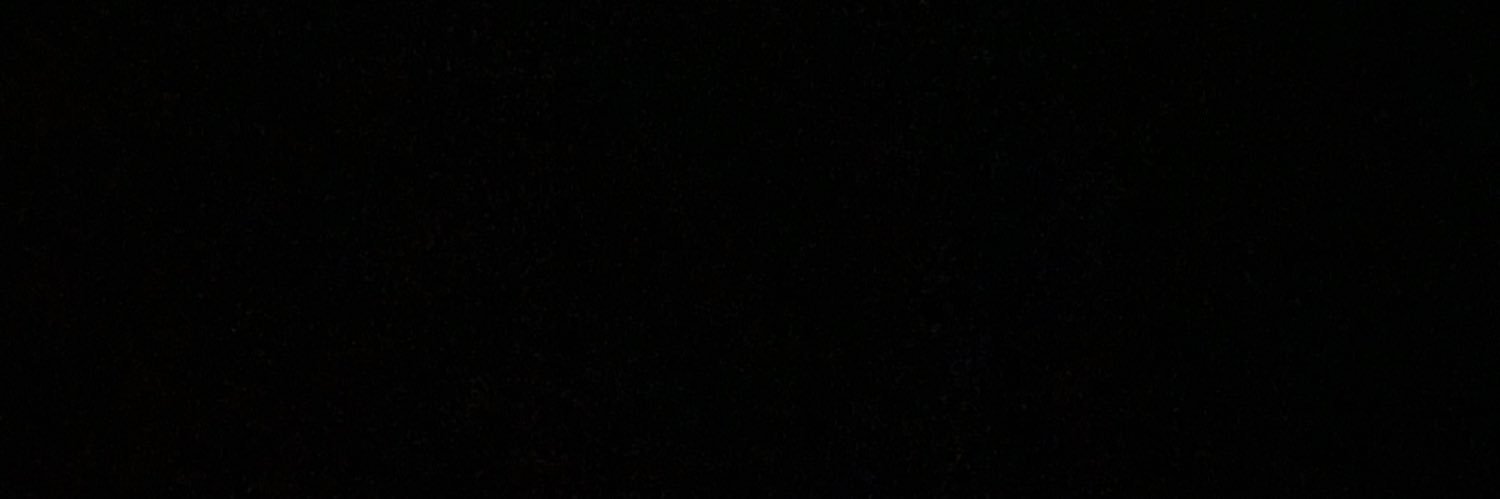 theprettyyricky's profile banner image