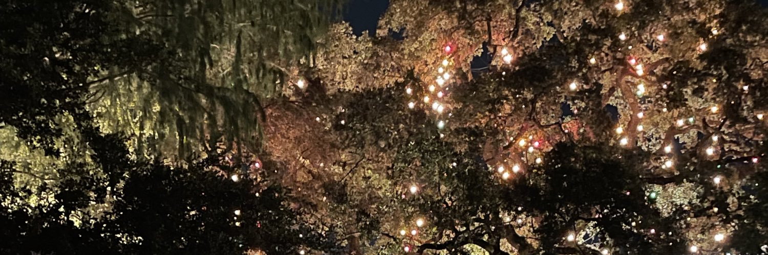 Augustinepena's profile banner image