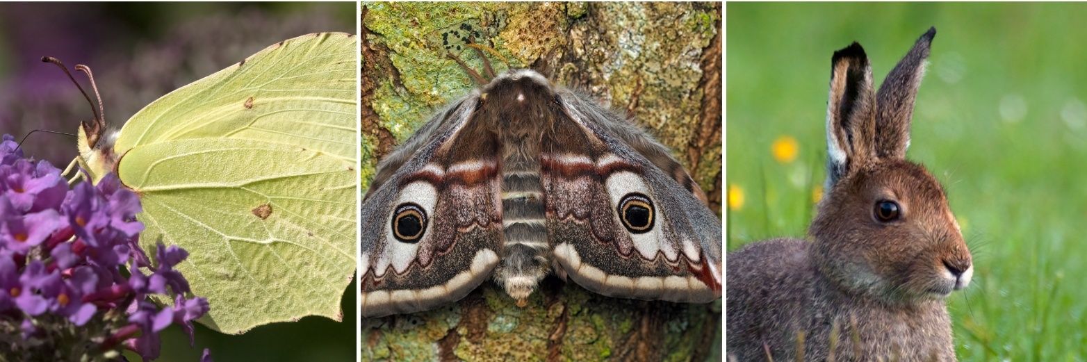 t2rny's profile banner image