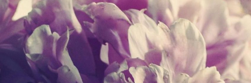 Raven Symone' banner