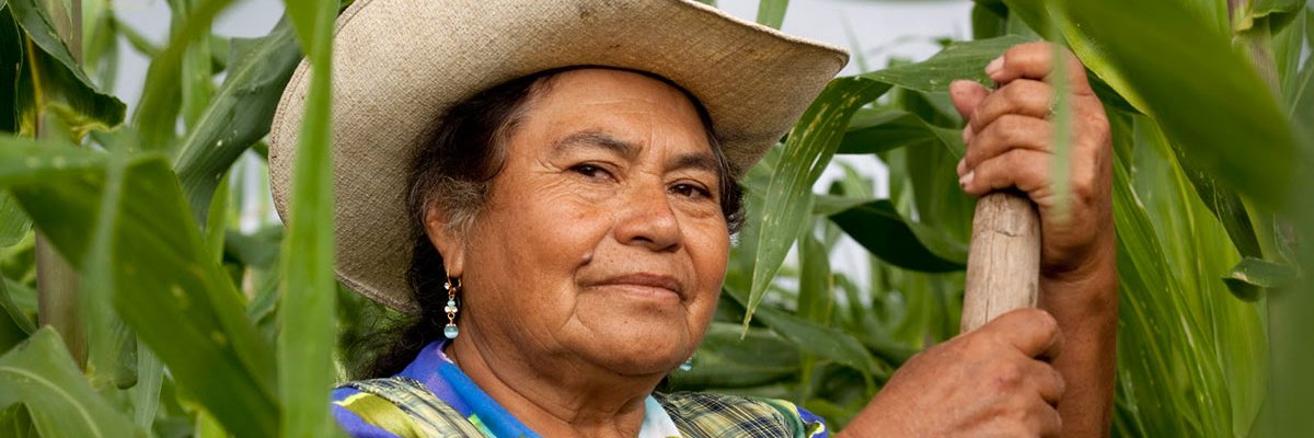 DecrecerMx's profile banner image