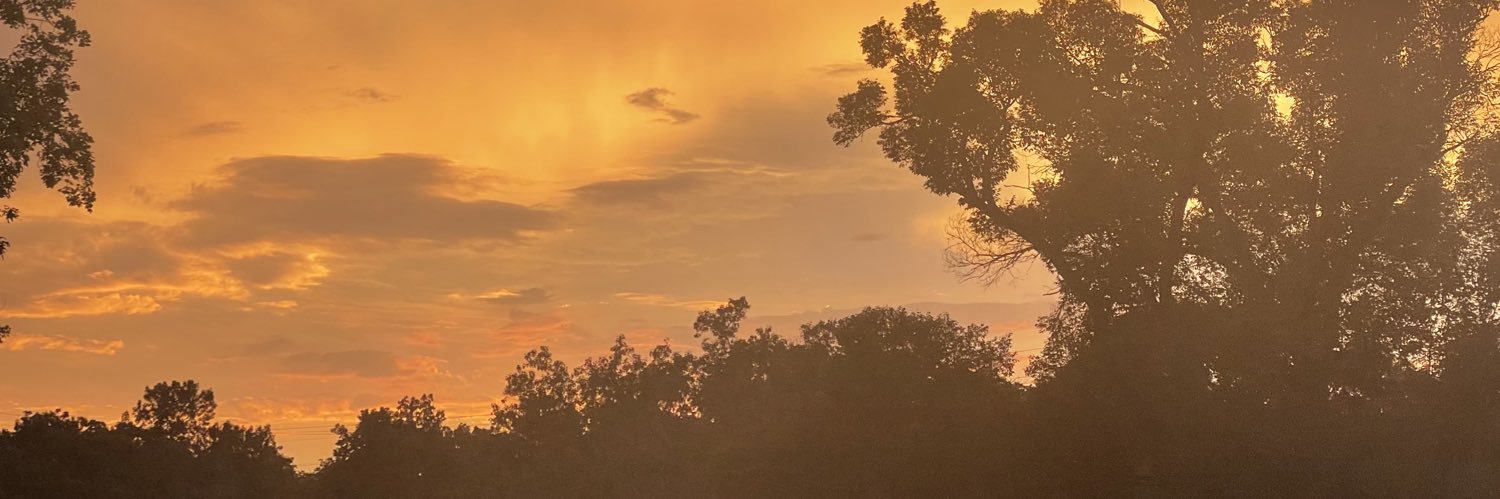 vyvansefanatic's profile banner image