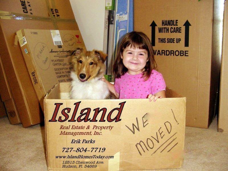 (Tampa) Island Broker Erik banner