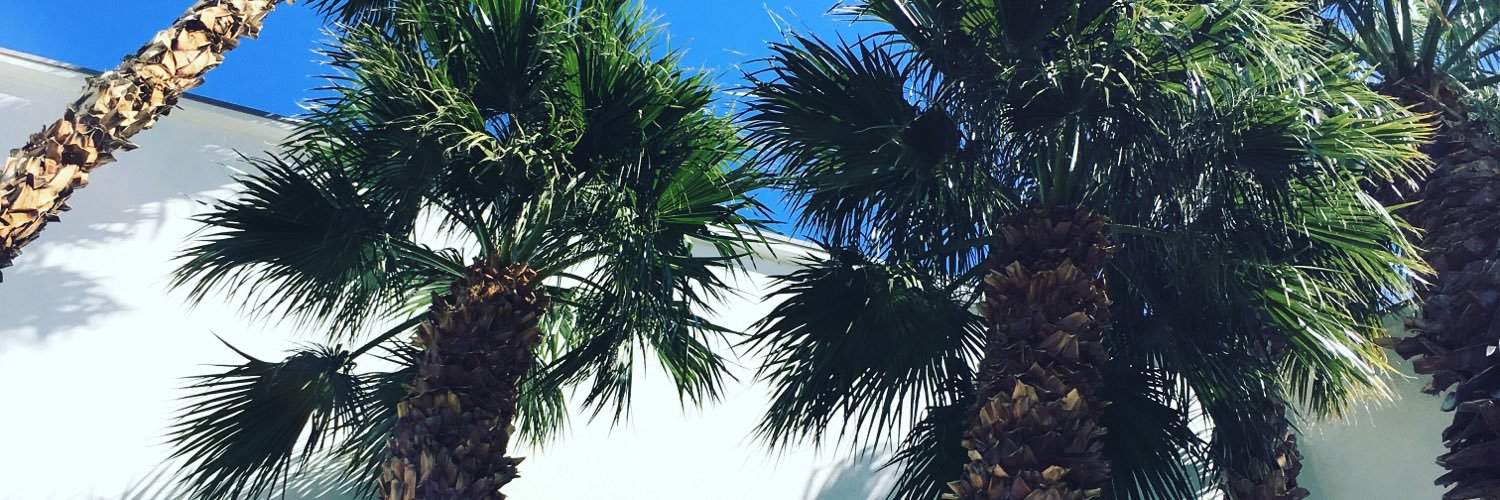 KristinaRainey's profile banner image