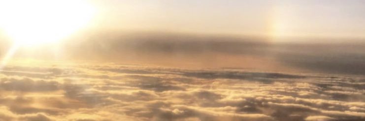 Julyliver's profile banner image