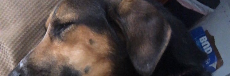 TylercMahoney's profile banner image