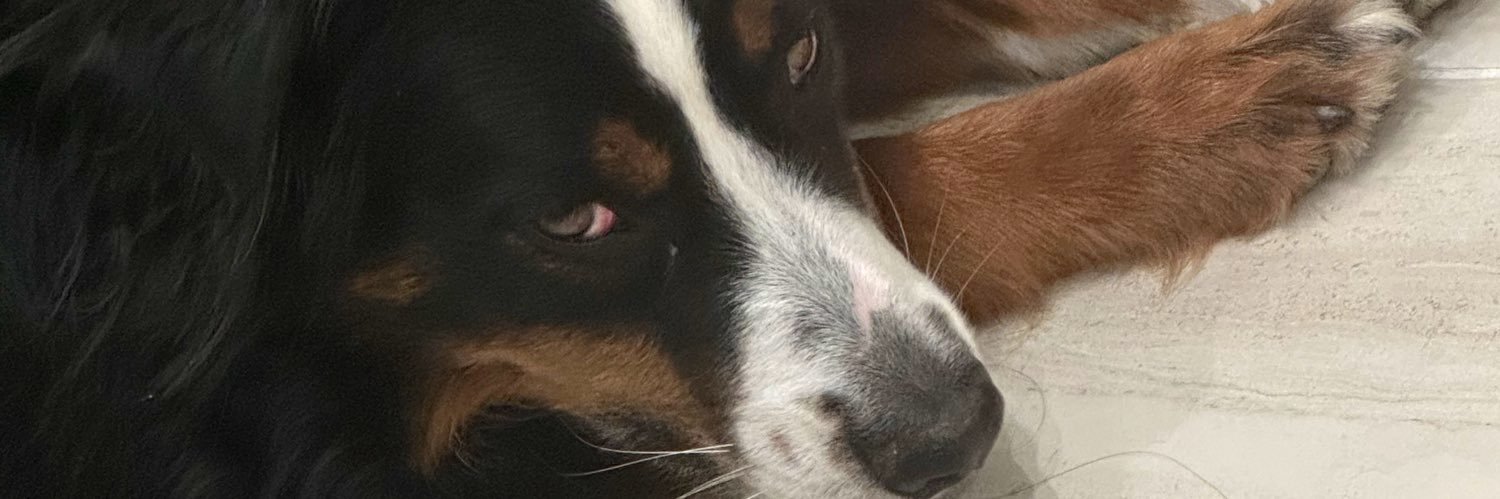 LYNDELLLL banner