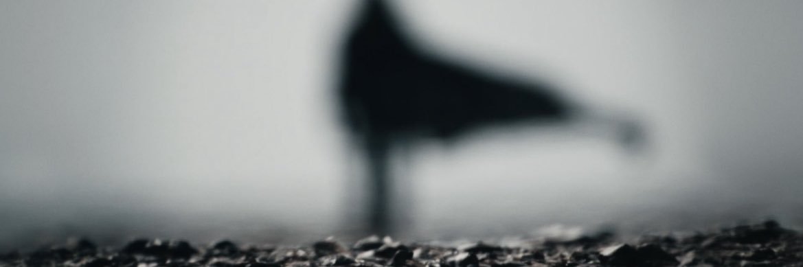 IsaacRF25's profile banner image