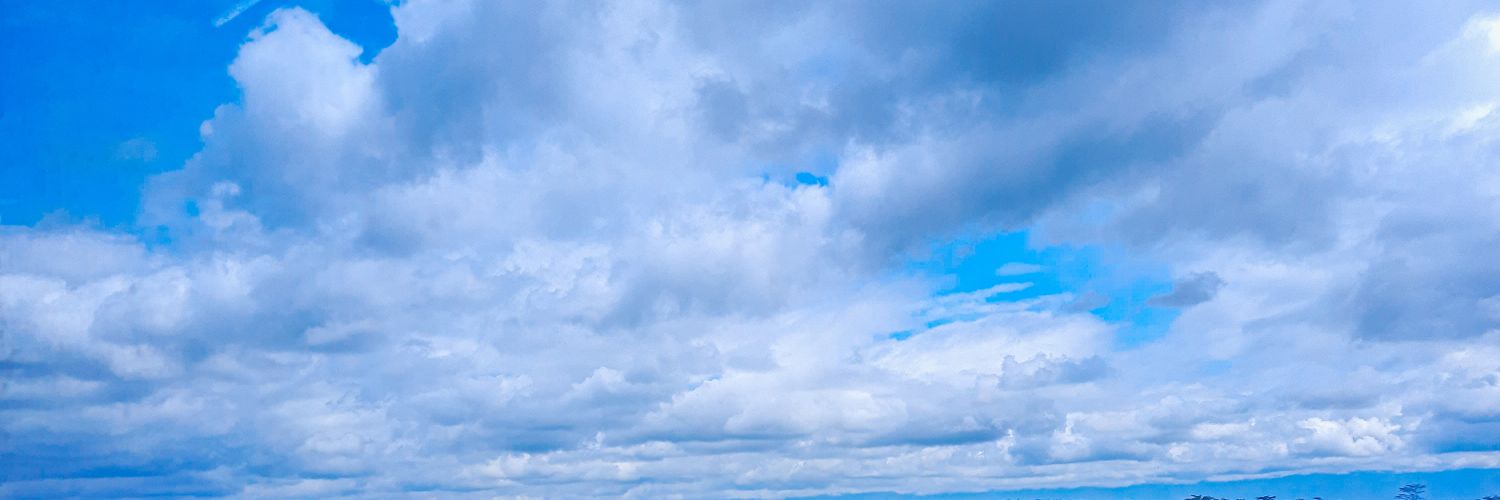 lemonjunnie_'s profile banner image