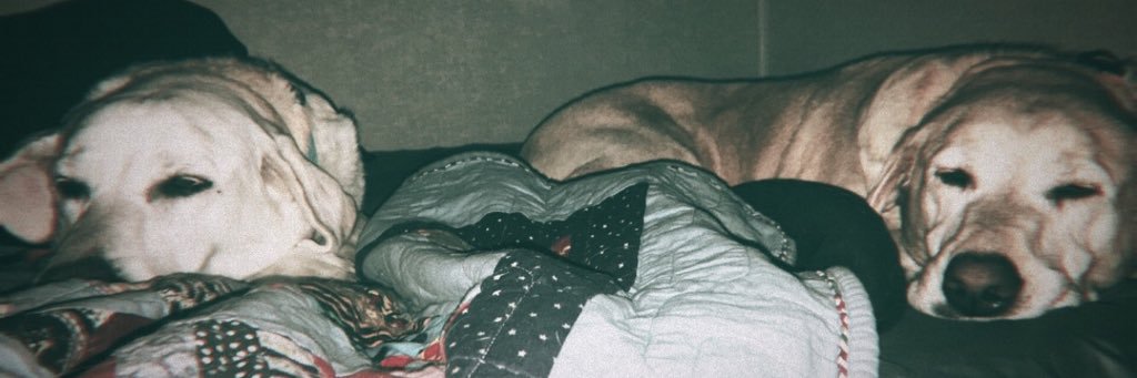 Caylanelson4's profile banner image