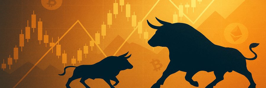 Krypto Apostle banner