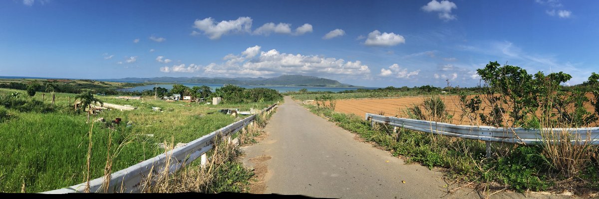 サトウ ハルミ / UXデザイナ/ AI駆動コーティング banner