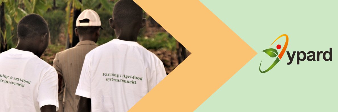 YPARD banner