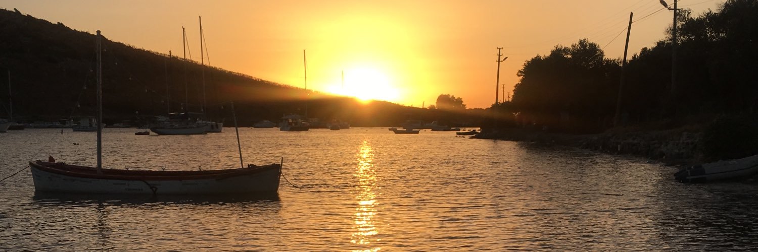 sofiabilge's profile banner image