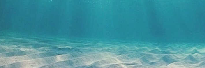 vibikaa's profile banner image
