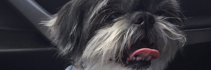RyleighStill's profile banner image