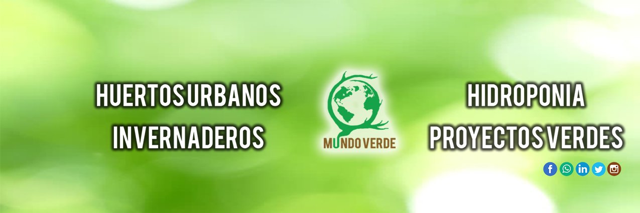 MtyMundo's profile banner image