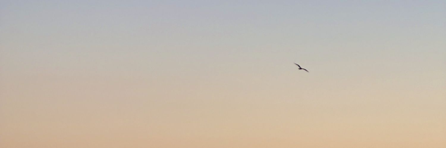 sous__entendu's profile banner image
