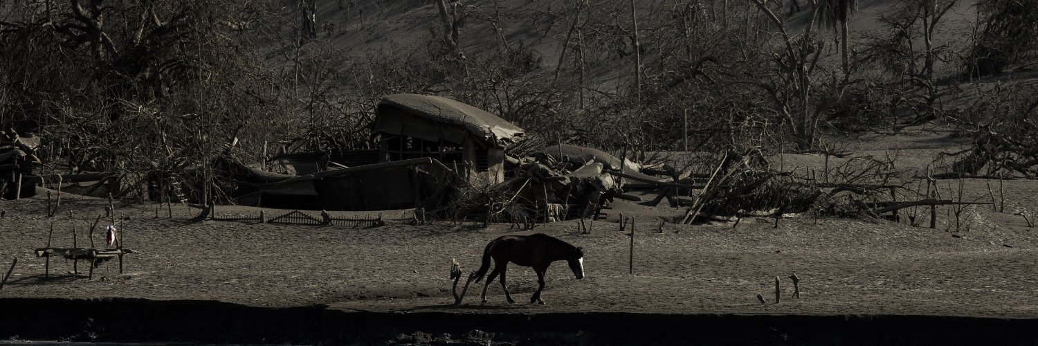 Lisa Marie David banner