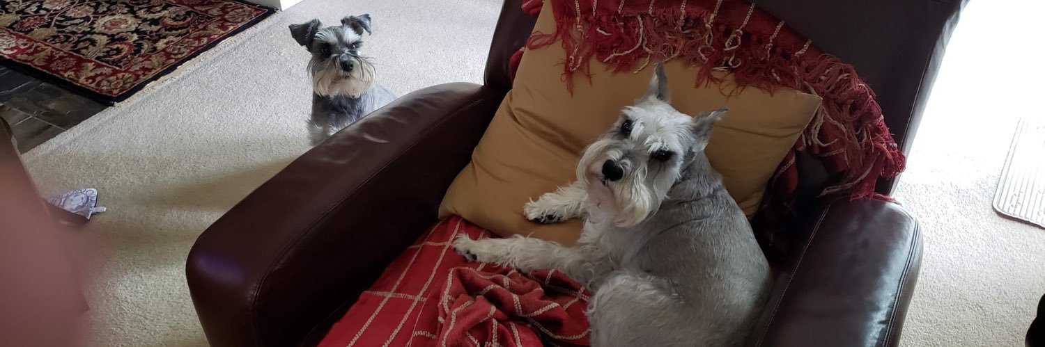 Chris Darling banner