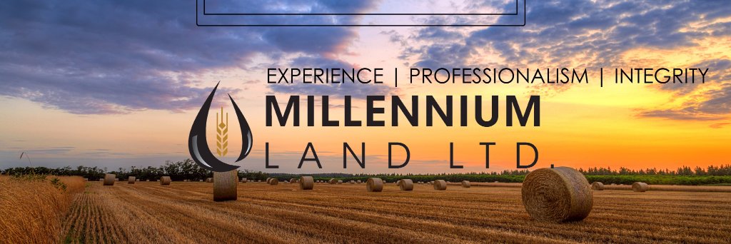 MillenniumLand's profile banner image