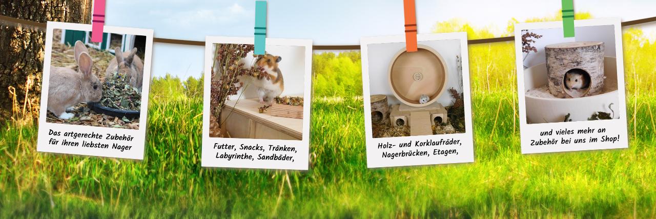 getzooshop's profile banner image